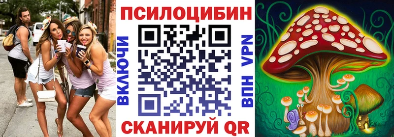 Псилоцибиновые грибы Psilocybe  MEGA tor  Магадан 