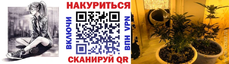 Каннабис семена  купить наркоту  Магадан 